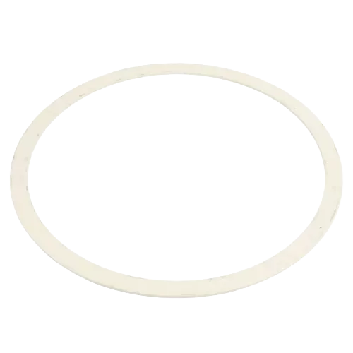 Armstrong Fluid Technology 8426401-002 Pump Casing Gasket – 6"