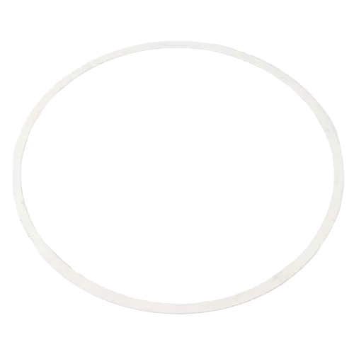 Armstrong Fluid Technology 8426401-005 13-Inch Nitrile Pump Casing Gasket