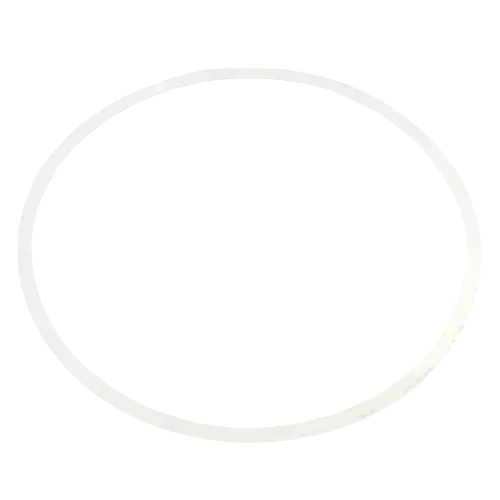 Armstrong Fluid Technology 8426401-006 Pump Casing Replacement Gasket