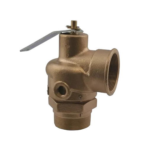 Conbraco 12-205-08 2" Pressure Relief Valve