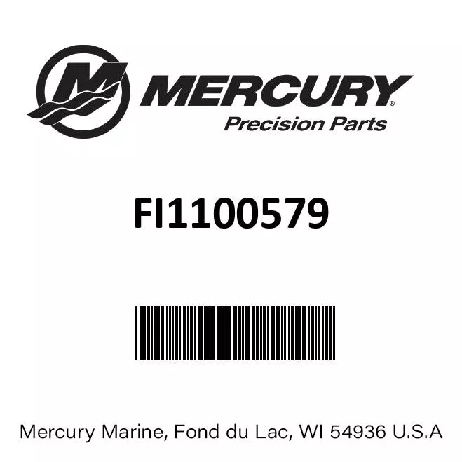 Mercury - Gauge-oil level - FI1100579