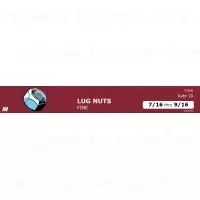 Wheel Nuts Assortment - Comprehensive Set For Automotive Applications